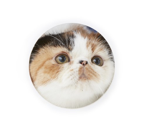 毎夜読まない本を御苦労千万にも寝室まで運んでくる。