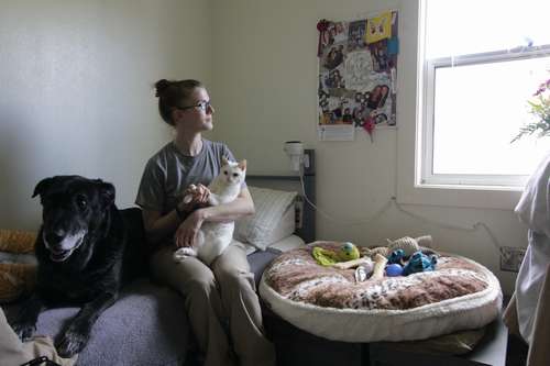 犬も猫もいる受刑者の居室 ©大塚敦子