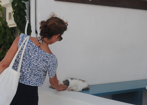 観光客にうっとりとなでられていました（ナウサ）