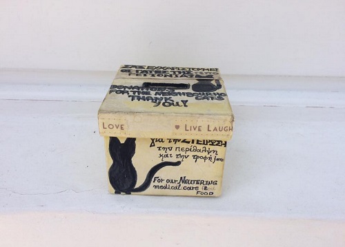 子猫たちにワクチンを打つための募金箱。ショウウインドーのすぐ外、目につく所に置かれていました（ナウサ）