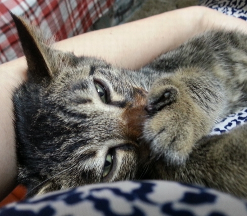 どこを見ているのかな