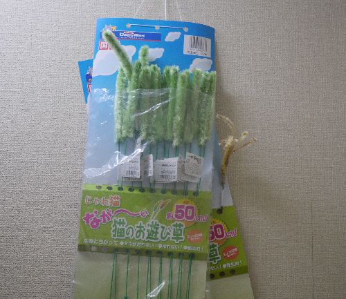 男はおもちゃも「大人買い」