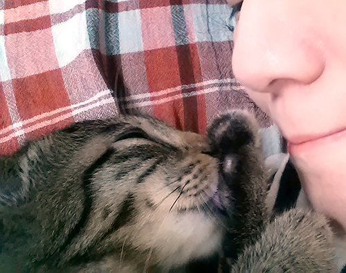 おやすみ、赤ちゃんはっぴー