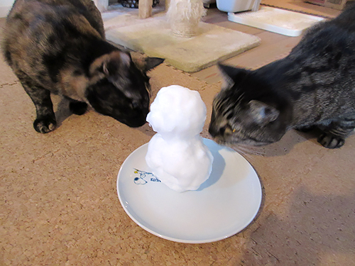 雪だるまをクンクンするあんずとモモ。