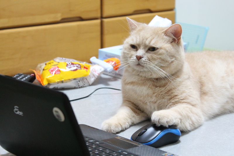 楽天トラベル提供