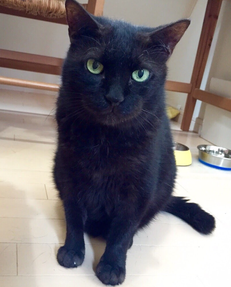 晩年、病気をしたが、愛していると言われ続けた