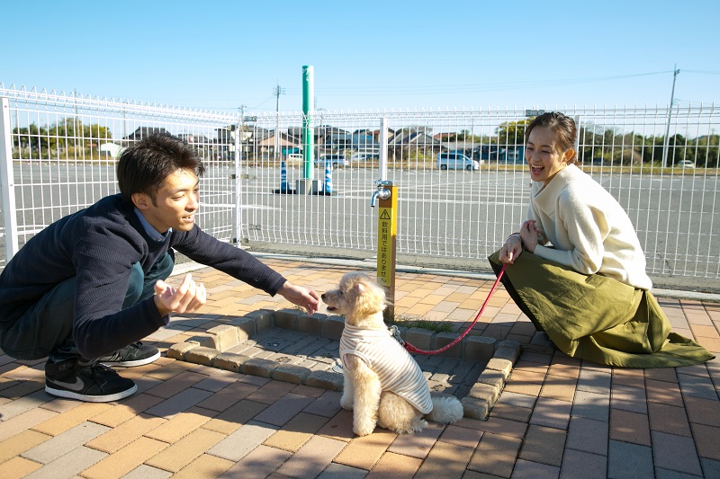 汚れた足を洗える専用スペースも