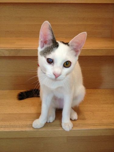 幼いころからのファンも多い