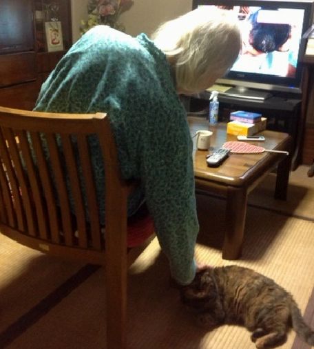 ミーコは家に来てすぐ、お母さんと仲良くなった（２０１３年）