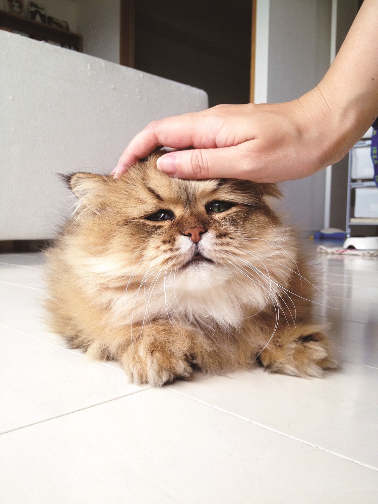 「おかあちゃん、仕事行かんといて…おうちおって…」