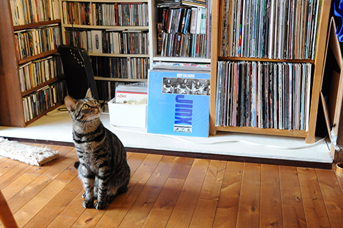 レコード、CDもずらりと並ぶ