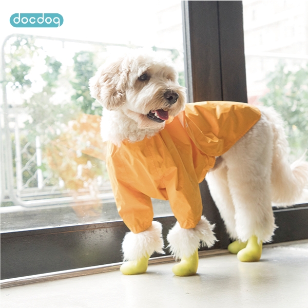 雨の日の散歩に役立ちそうな犬用の靴