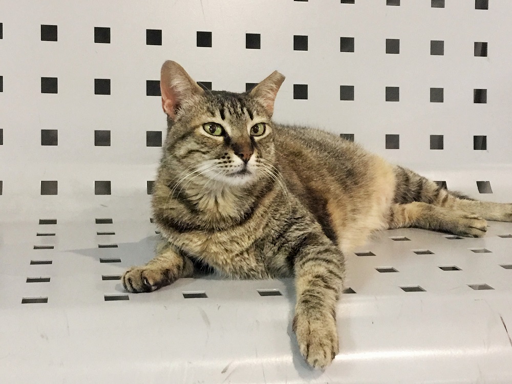 「チャーミングじゃなくて、イケメンと呼んでくれよな」