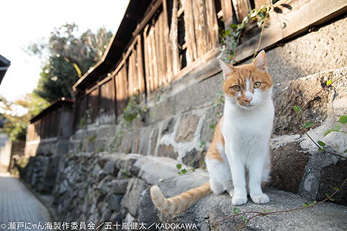 撮影・五十嵐健太