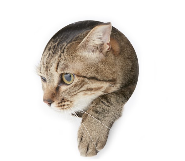 ただ向上とか何とかいって、空ばかり見ている