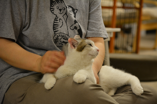 撫でてもらって気持ち良いな〜