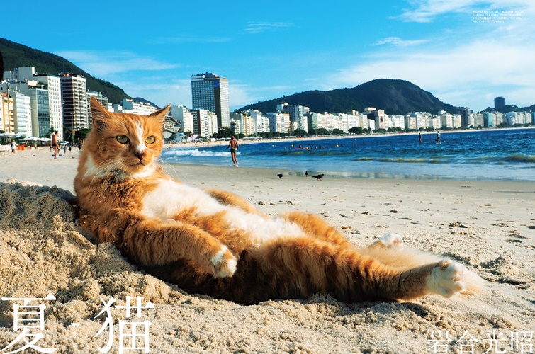 写真＝岩合光昭　（デジタルカメラマガジン）