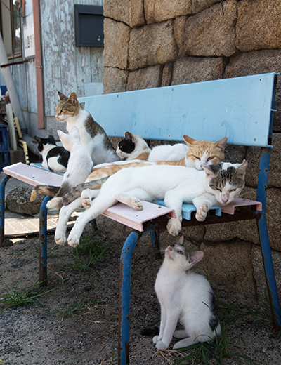 ベンチからはみ出た足を狙う