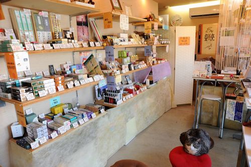 椅子の上がジジのお気に入りの場所