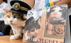 初代 駅長たま 卓上カレンダー兼ポストカード2009年2010年 和歌山電鉄の猫駅長、卓上カレンダーに…2代目駅長ニタマ「買っ