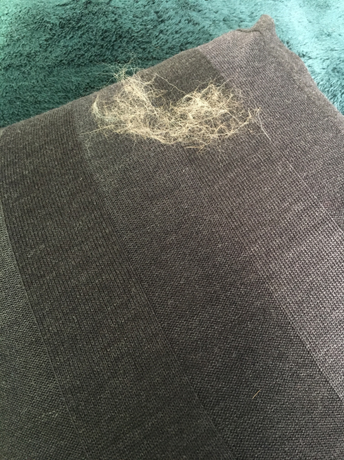 こんなにきれいになりました