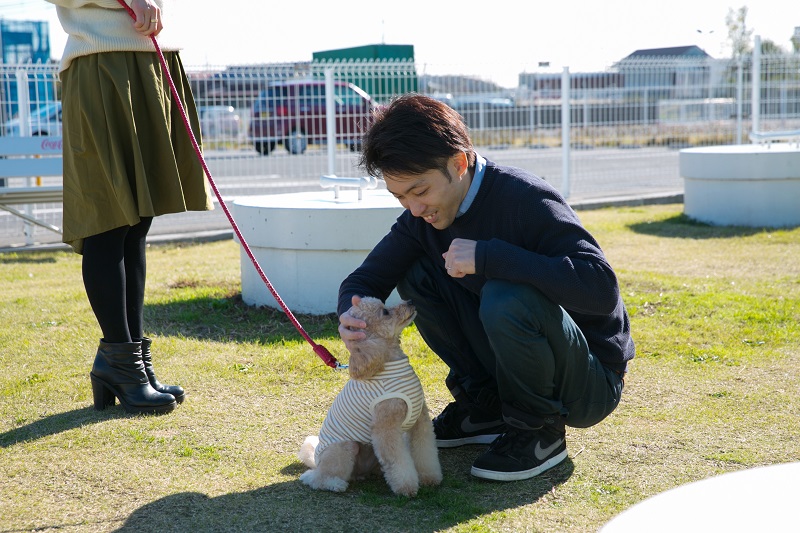 芝生の上を歩ける「ドッグレスト」はウエストゲート近く