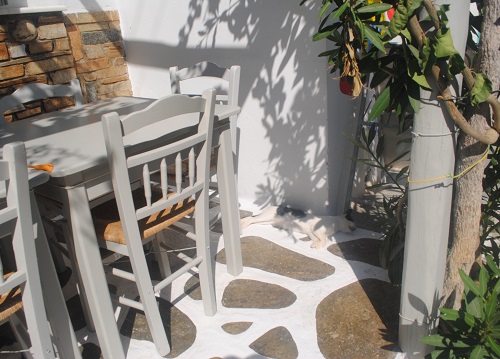 えぇと…頭だけ涼しそうだけど、大丈夫？（アンティパロス）