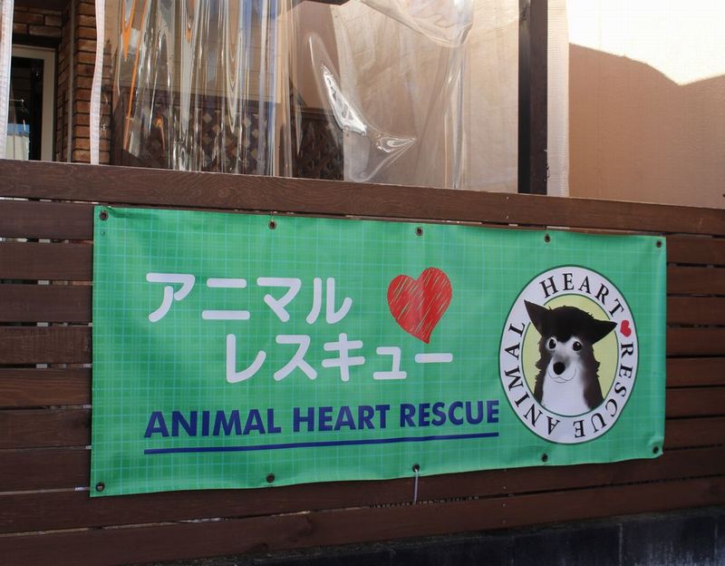 アニマル・ハート・レスキュー