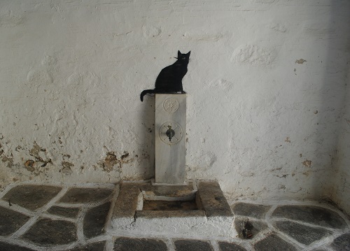 猫のペインティング！大理石の産地らしく、大理石の水汲み場。各家庭に水道が引かれていなかった頃の名残で、街じゅうに見られます（パリキア）