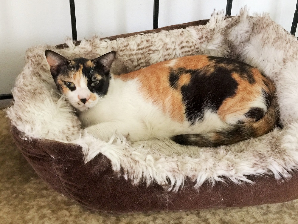 我が家のお姫様。超警戒モード．．．