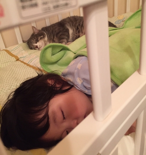 ベビーベットの奥にいるのは「すみお」