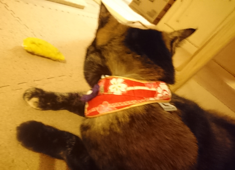 身体に何か付けるのが嫌い