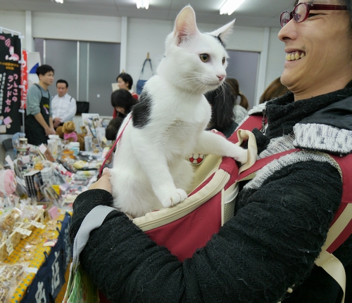 １１月、近所のペット総合施設で行われたイベントを見に行った時