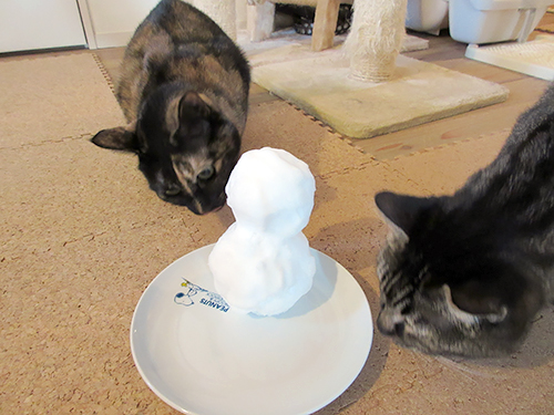 雪だるまをクンクンするあんずとモモ。