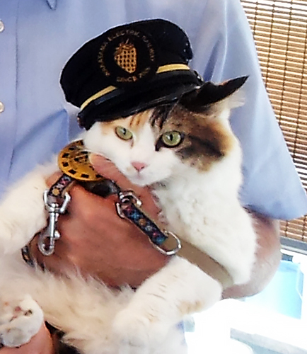 ニタマ駅長＝２０１２年８月２日、和歌山市伊太祈曽、雨宮徹撮影