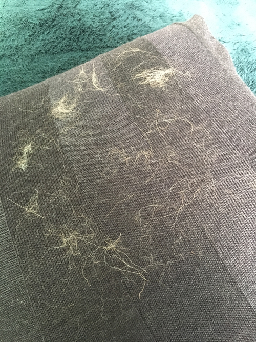 ごらんの通りのクッションも……