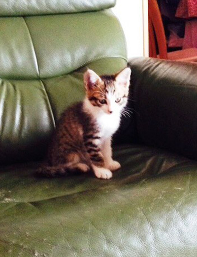 ここはどこ？　私はだれ？