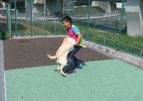 龍大くんと遊ぶ「大きくなったね」