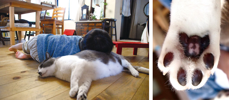 左：リュウ枕（写真提供・藤原あずみ）　右：肉球のテディベアまで、味のある顔