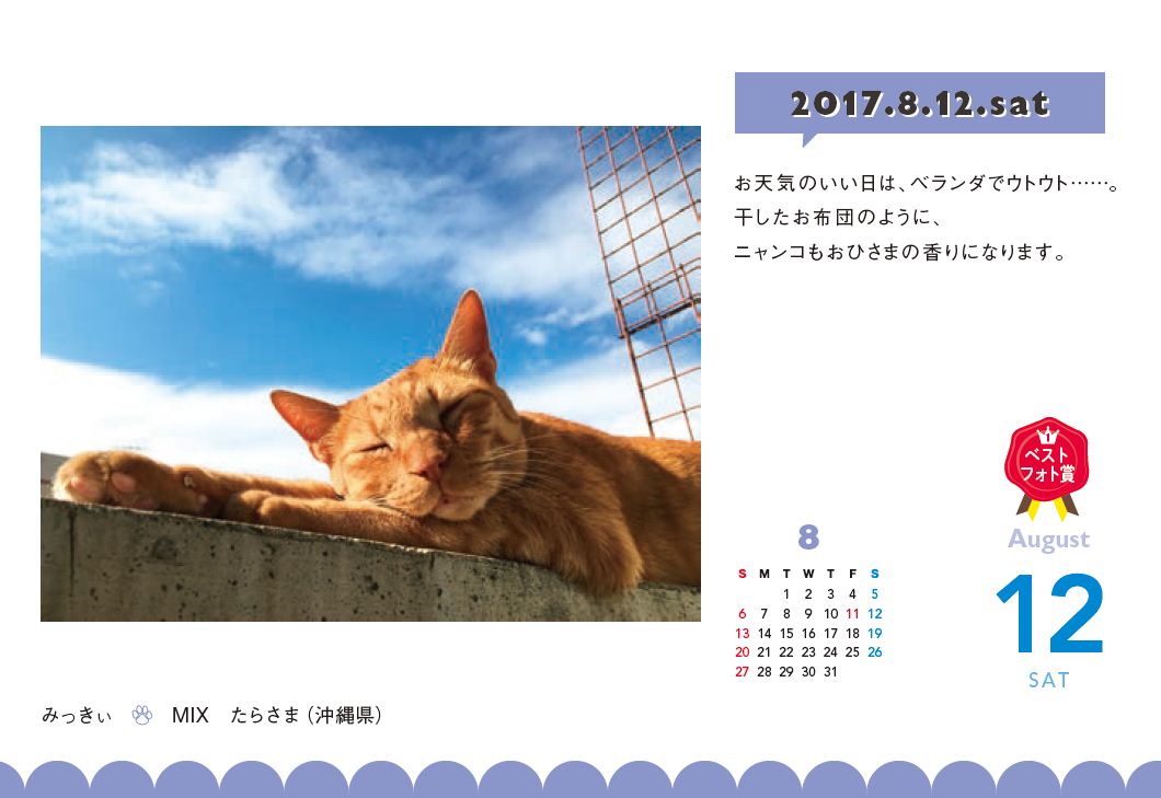 ベランダで日なたぼっこ