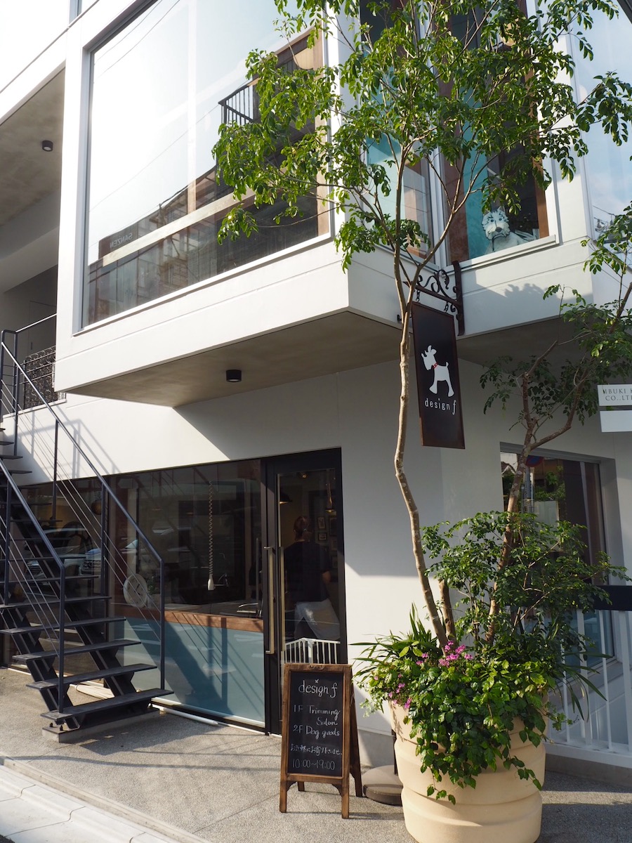 中目黒の「デザインｆ」。1Fはガラス張りで、たくさんのワンコたちがトリミング中の様子が見られます。