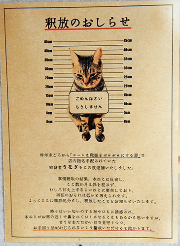 うなぎは最近、「釈放」されたそう