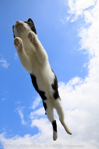 撮影・五十嵐健太