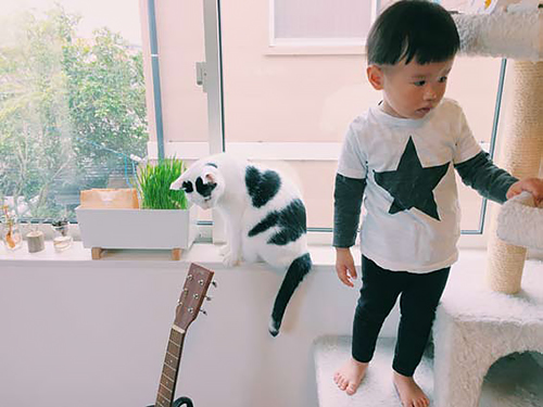 「ザクロとたい」から　（ぴあ／もりもとりえ）