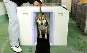 マイクロチップで迷い犬猫の飼い主特定 読み取り機導入 | 「犬や猫と 