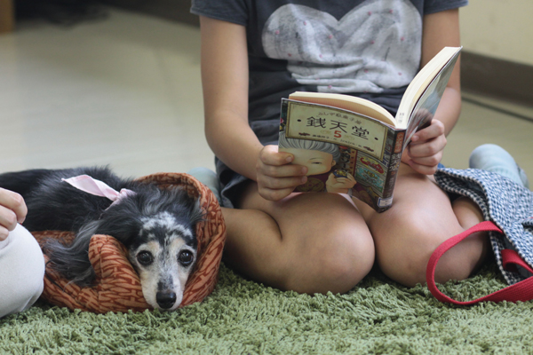 子どもの声を聞きながら、犬は気持ちよさそうにウトウト（ｃ）大塚敦子