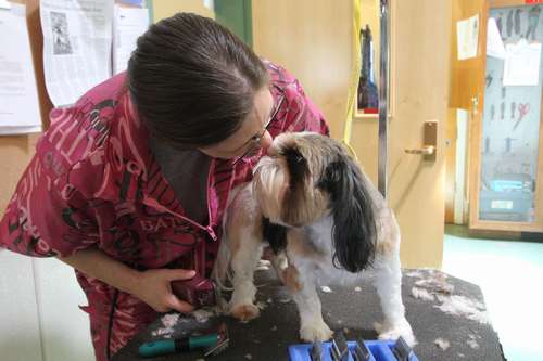 女子刑務所でトリミングの仕事をするレイチェル＝２０１３年撮影（ｃ）大塚敦子