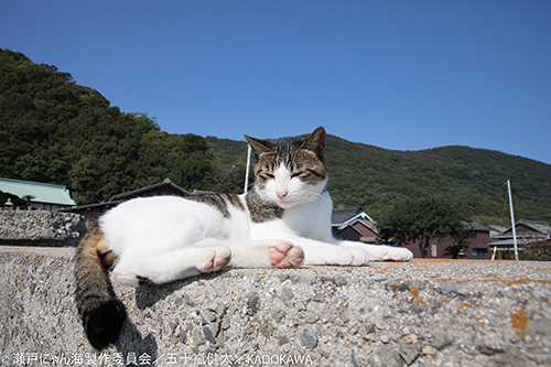 撮影・五十嵐健太