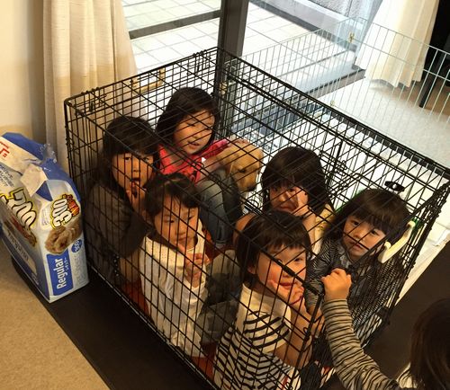 恵ちゃんの幼稚園の友達が遊びにきて、いつしかサンディとゲージに！