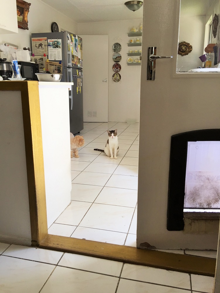 遠くから事件現場を見つめる子